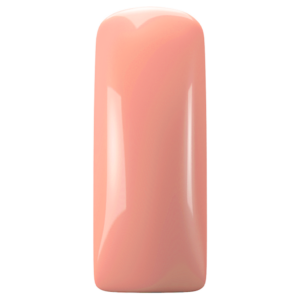 Magnetic Blush gel Tenderly 231430