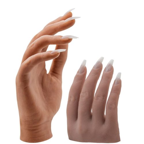 Hand en Voet Modellen